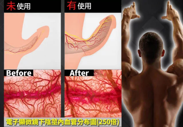 1765850978783969.png 企业微信截图_17658501041656.png