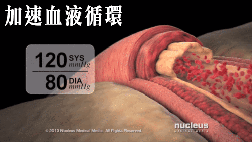 1765853152662716.gif 10034.gif